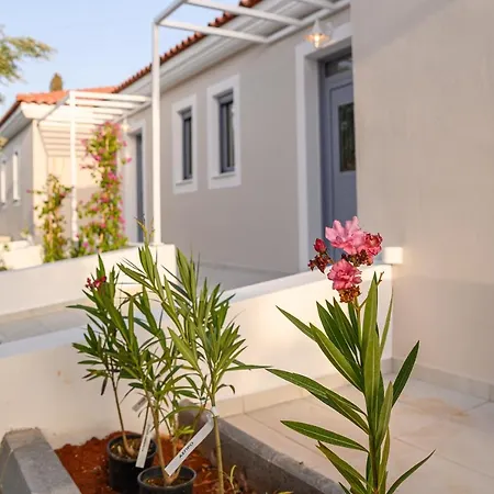 Apartment Dionisos *