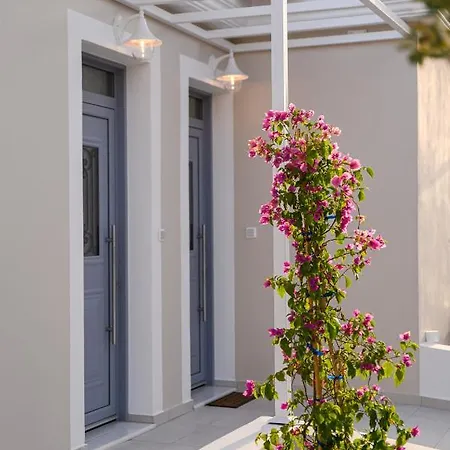 Dionisos Apartment